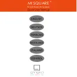 Предварительный просмотр 1 страницы GINGKO MI SQUARE Quick User Manual