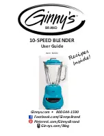 Ginnys 61602 User Manual preview