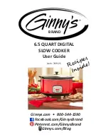 Ginnys 749125 User Manual preview