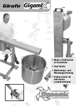 Preview for 1 page of Girafe GigamiX Dunamic User Manual