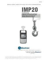 Giropes Baxtran IMP20 User Manual предпросмотр