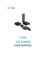 GL-INET GL-X300B User Manual preview