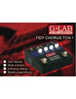 Предварительный просмотр 1 страницы Glab Tidy Chorus TCH-1 User Manual