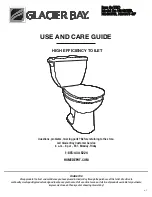 Glacier bay N2428E-10 TBA Use And Care Manual preview