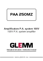 GLEMM PAA 250MZ Instruction Manual preview