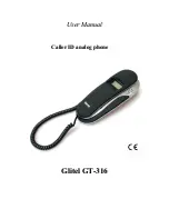 Preview for 1 page of Glitel GT-316 User Manual