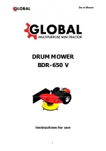 Global BDR-650 V Instructions For Use Manual preview
