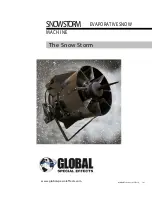 Global SNOW STORM User Manual preview