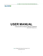 Gloview LP1O User Manual preview