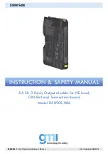 GMI D5090S-086 Instruction & Safety Manual предпросмотр