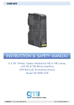 Preview for 1 page of GMI D5290S-078 Instruction & Safety Manual