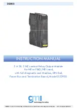 GMI D5295S Instruction Manual preview