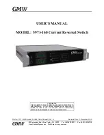 GMW 5971-160 User Manual предпросмотр