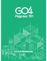 GO4 Pegasus 701 User Manual preview