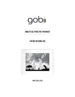 gobii DPF2561-PIA User Manual предпросмотр