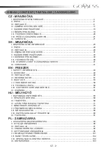 Предварительный просмотр 2 страницы Goddess FSD 0142 TW8AF Instruction Manual