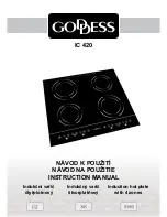 Goddess IC 420 Instruction Manual предпросмотр