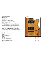 Preview for 12 page of Godin Exit22 User Manual