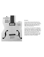 Preview for 3 page of Godin Multiac Jazz User Manual