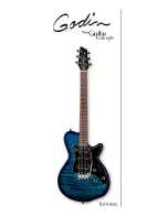 Godin Solidac Specification preview