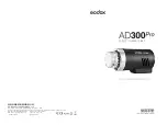 Godox AD300Pro Instruction Manual предпросмотр