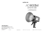 Godox WITSTRO+ AD600M Instruction Manual preview