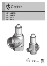 Preview for 2 page of Goetze 651 HNs Assembly And Maintenance Instructions