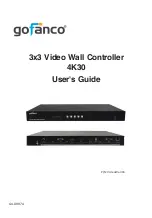 gofanco 4K30 User Manual предпросмотр