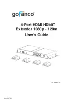 gofanco HDbitT4P User Manual preview
