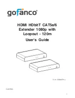 gofanco HDbitTPro User Manual preview