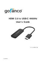 gofanco HDMIUSBC User Manual предпросмотр