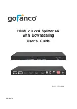 gofanco HDSplit24 User Manual предпросмотр