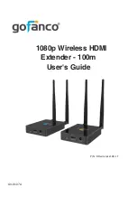 gofanco HDwireless100-LT User Manual preview