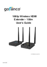 gofanco HDwireless100 User Manual preview