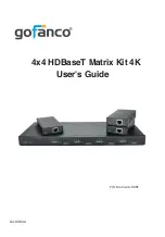 gofanco Matrix44-HDBT User Manual предпросмотр