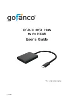 Preview for 1 page of gofanco USBCMST2HDMI User Manual