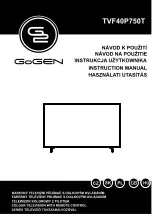 Предварительный просмотр 1 страницы Gogen TVF40P750T Instruction Manual