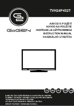 Gogen TVH24P452T Instruction Manual предпросмотр