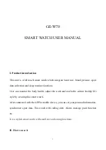 Gold-East Electronic GE-W70 User Manual preview