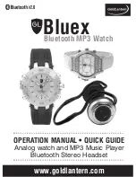 Gold Lantern Bluex Operation Manual предпросмотр