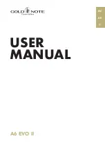 Gold Note A6 EVO User Manual preview