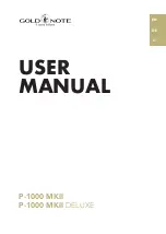 Preview for 1 page of Gold Note P-1000 User Manual