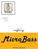 Gold Tone Micro Bass Owner'S Manual предпросмотр