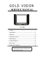 Preview for 1 page of Gold Vision GV-2188F Service Manual