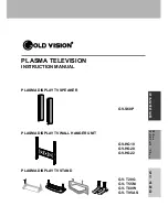 Preview for 2 page of Gold Vision GV-HG10 Instruction Manual