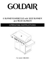 Goldair GBQ250 Operating Instructions Manual preview