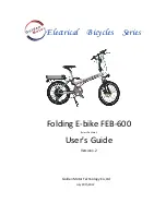 Golden Motor Folding E-bike FEB-600 User Manual preview
