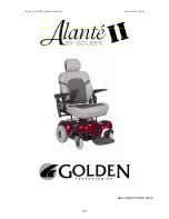 Preview for 40 page of Golden Alante II GP202 Owner'S Manual