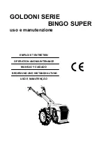 GOLDONI BINGO SUPER Series Operation And Maintenance preview