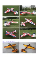 Preview for 6 page of Goldwing RC YAK55M 30CC Manual